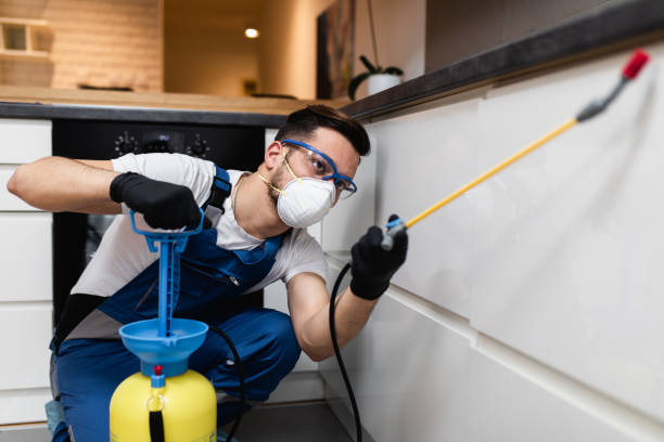 Best Emergency Pest Control  in Moundville, AL