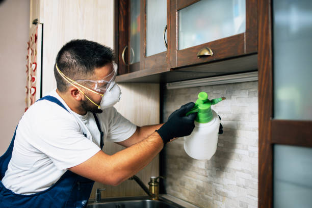 Best Pest Control Near Me  in Moundville, AL