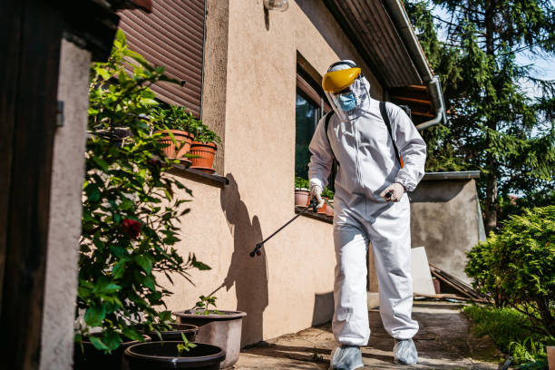 Best Affordable Pest Control Services  in Moundville, AL