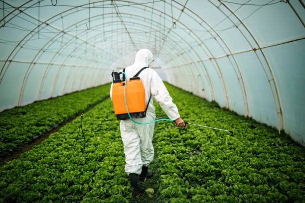 Best Pest Removal Services  in Moundville, AL