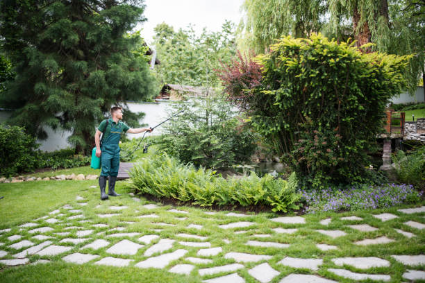 Best Pest Inspection Near Me  in Moundville, AL