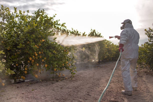 Best Pest Prevention Services  in Moundville, AL