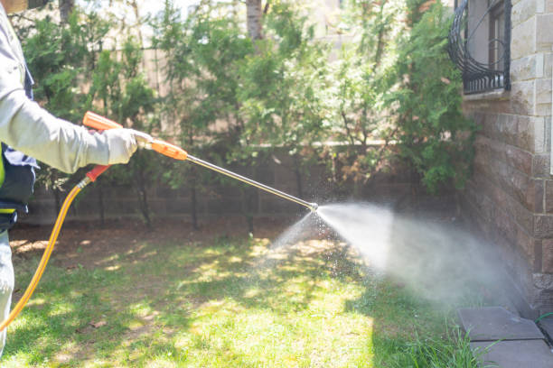 Best Best Pest Control Companies  in Moundville, AL