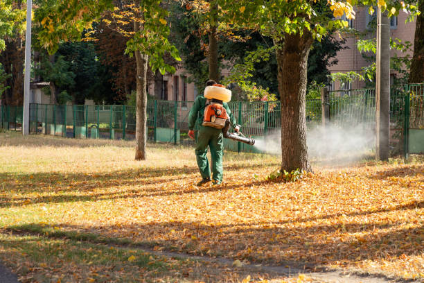 Best Pest Prevention Services  in Moundville, AL