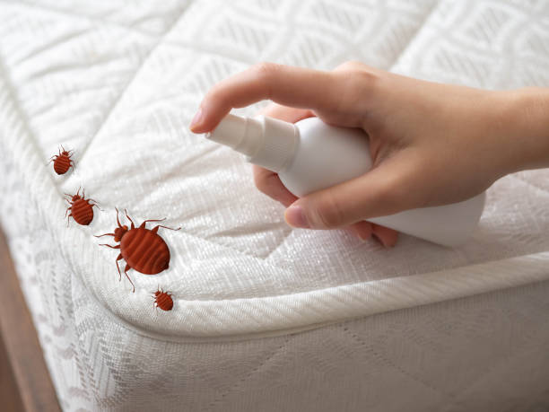 Best Termite Control Services  in Moundville, AL