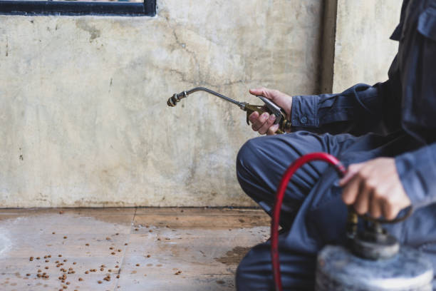 Best Affordable Pest Control Services  in Moundville, AL